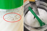 5 mẹo đuổi kiến khỏi hũ đường cực đơn giản, nhà nào cũng cần