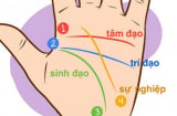 Người có 3 điểm lạ này trên lòng bàn tay: Không thành tỷ phú cũng chẳng lo thiếu tiền tiêu, cả đời viên mãn