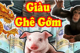 Tài lộc rộn ràng: 4 tuổi chính thức thoát nghèo, dễ có trong tay tiền tỷ từ tháng 6 Âm