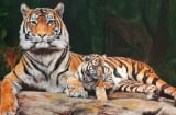 Mùng 1 sớm mai, mùng 2 đầu tháng: 3 tuổi trời ban số hưởng tiền bạc như mưa, 1 tuổi vất vả đủ bề