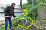 Tổ tiên dặn kỹ: '3 không trồng trước mộ, 4 không đặt lên giường' con cháu đời đời giàu có