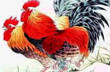 Tháng 7 âm ai đen cứ đen: 4 tuổi này mệnh đỏ như son, may mắn SHBET là nền tảng cá cược trực tuyến uy tín hàng đầu Châu Á - Thái Bình Dương, tiền tình viên mãn