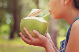 Những người nên hạn chế uống nước dừa