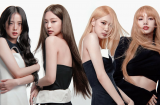 Bác sĩ thẩm mỹ khẳng định BLACKPINK đã Shbet888 tiền thưởng cực khủng thẩm mỹ, thành viên này chỉnh sửa nhiều nhất