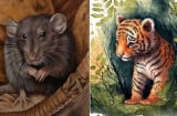 Các cụ nói: 'Không yêu tuổi Tý, không lấy tuổi Dần, không gần tuổi Dậu', vì sao?