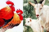 4 tuổi đỏ rực từ Rằm tháng 7: Đặc biệt số 1 đại cát đại lợi, ung dung Thần Tài tự tìm đến cửa