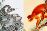 5 ngày cuối tháng 8 dương: 4 tuổi ăn lộc tứ phương, tay trắng làm nên đại nghiệp