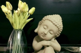 4 đặc điểm của người nhiều phúc khí, bạn có 1 điểm thôi làm gì cũng thuận lợi