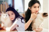 Tuổi 36, sau cuộc tình tan vỡ, Lưu Diệc Phi tiết lộ “tình yêu cuồng nhiệt” của mình là đây