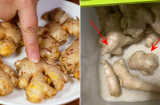 Thả củ gừng vào thùng gạo: Lợi ích bất ngờ, ai không biết thật phí