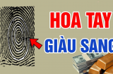 Xòe bàn tay mà xem: ''1 hoa nghèo, 2 hoa giàu', hoa tay nói gì về vận số sang-hèn của bạn?