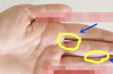 Chụm bàn tay lại đếm khe hở: Biết ngay đường tình duyên của bạn suôn sẻ hay lận đận