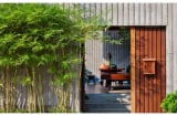 Tổ tiên chỉ rõ: 4 loại cây trồng trước nhà nghèo khổ nợ nần, trồng sau nhà Thần Tài giữ của, giàu 3 đời