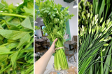 Đi chợ thấy 7 loại rau này nên mua ngay: 'Bổ hơn thịt, rẻ hơn thuốc', vừa sạch vừa ngon, ít bị phun thuốc