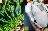 7 thực phẩm giàu sắt hơn thịt bò, là cao thủ 'bơm máu' giúp giảm đau đầu, chóng mặt, thiếu máu não