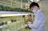 Ngành học ít người biết: Ra trường là có việc, lương từ 20 triệu/tháng, tậu nhà mua xe dễ ợt