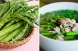 Loại rau giàu canxi gấp 36 lần canh xương hầm: Ăn càng nhiều càng tốt không lo béo phì, nấu món nào cũng ngon