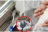Vì sao nhà giàu thường hay rắc muối vào khe cửa? Hóa ra có công dụng quý ai cũng thích