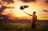 Ở đời có 3 thứ không nên tham dù túng quẫn đến mấy, càng muốn có lại càng dễ sa cơ