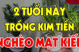 2 tuổi này trồng kim tiền lộc đâu không thấy: Tiền bạc trôi sông, nợ ngập đầu