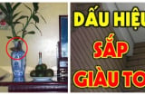 Bàn thờ có 2 điều lạ này: Chắc chắn có điềm, chuẩn bị tinh thần