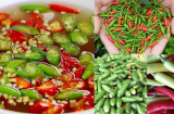 Ớt xanh ớt đỏ khác gì nhau?Nội trợ đỉnh cao là dùng mỗi loại trong những món khác nhau và kết quả cực lạ