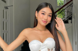 Á hậu Thảo Nhi Lê hé lộ cận cảnh khoảnh khắc thực hiện trữ trứng ở tuổi 28, thông báo kết quả cụ thể