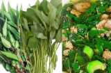Loại rau nhiều nhớt khiến nhiều người chê nhưng lại là rau cực giàu canxi và sắt, tốt cho cả Shbet111 slot, casino, thể thao, xổ số