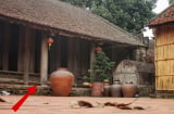 Thấy 3 hiện tượng này xuất hiện trước cửa nhà, tài lộc đang cạn, phúc chẳng còn nhiều