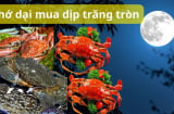Người xưa đã dạy thèm ăn cua ghẹ cũng chớ mua dịp trăng tròn, nhiều người mất tiền mà không biết lý do