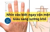 Chiều dài ngón tay tiết lộ vận mệnh sang hèn sướng khổ của bạn, làm ăn thành công hay bết bát ở đây