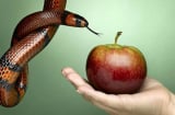 ''Dục quá ắt tai ương'': 3 dục vọng lớn bằng mọi giá phải cố lách qua được