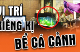 5 vị trí đại kỵ không đặt bể cá cảnh: Gia chủ lục đục, tài sản ngày càng khánh kiệt