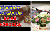 Tổ tiên nhắc nhở: Gầm bàn uống nước để 4 vật này chặn cửa tiền tài, 10 nhà thì 9 nhà mắc phải