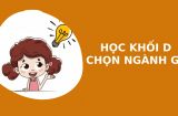 Học khối D chọn ngành gì: 4 ngành hot ra trường dễ tìm việc, không lo thất nghiệp