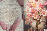 3 loại vỏ không tốn tiền mua lại giúp cây lá xum xuê, hoa nở liên tục