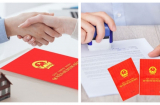 Năm 2024: Sang tên Link nhập code shbet https freecode shbet pages dev cần 3 loại giấy tờ này, nếu không đủ dù gửi hồ sơ đi cũng bị trả về
