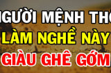 Mệnh Thổ hợp với nghề gì? Làm việc gì để phát tài giàu có cả đời?