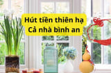 Người xưa dạy đặt thứ này ở cửa sổ hút tiền từ ngoài vào, xả xui từ trong ra, đó là thứ gì?