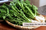 Loại rau rẻ tiền, bổ tựa nhân sâm, ăn nhiều bổ gan, sáng mắt, hạ huyết áp, ít người biết để mua về ăn