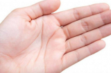 5 dấu hiệu trong lòng bàn tay, dù nam hay nữ đều có lộc, số phú quý giàu sang không lo thiếu tiền