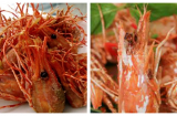 3 bộ phận của tôm tưởng bổ dưỡng nhưng chứa nhiều độc tố, nên tránh xa