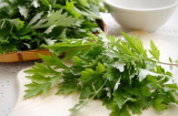 Đến chu kỳ kinh nguyệt cứ đun một nắm lá này uống vào, hết đau bụng, lại thải độc rất tốt