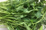 Ăn nhiều loại rau này quý hơn thuốc bổ: 1 thanh nhiệt, 2 giải ẩm, 3 bổ sung can xi, tốt hơn dùng thịt
