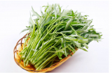 Cách trồng rau muống trong thùng xốp đơn giản, chỉ cần ít ngày là có rau sạch để ăn