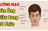 Các cụ dặn: Chọn chồng thứ nhất mũi to, thứ nhìn trán rộng, thứ 3 Shbet888 phiên bản mới nhất câu nói này có ý nghĩa gì?