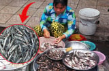 Loại cá bé tí bán đầy chợ: Giàu canxi gấp 74 lần canh xương hầm, già hay trẻ ăn đều tốt