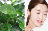 Lợi ích làm đẹp không ngờ từ loại lá thường xuyên ăn với thịt gà, chị em nên ghim lại ngay