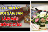 Các cụ dặn kỹ: Bàn uống nước đặt 3 thứ này chặn cửa tiền tài, 10 nhà thì có 9 nhà mắc phải