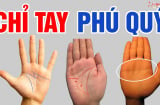 Người phúc lớn mạng lớn trên lòng bàn tay có 3 nét tướng này: Chỉ cần 1/ 3 cũng đủ giàu sang sung túc